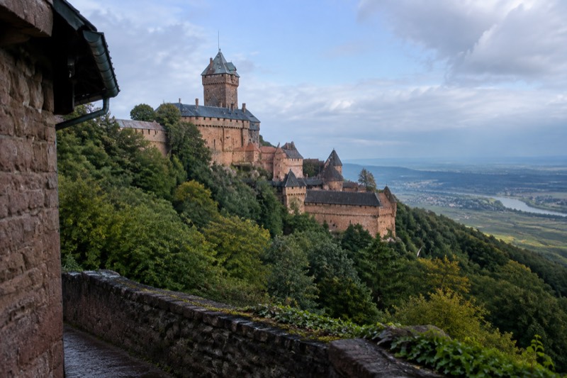 The red sandstone Haut-Koenigsbourg castle on its ridge above forest and vineyards under a clear sky.
