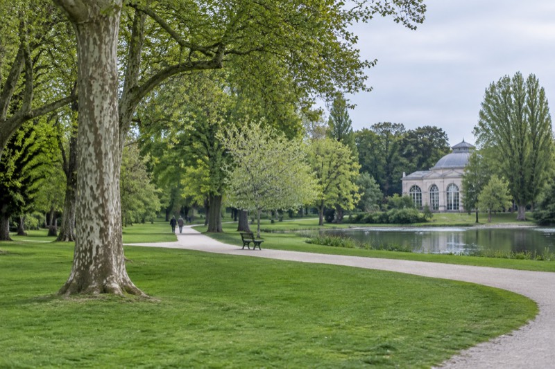 Open lawns and old trees in a park, with a path curving away between them.