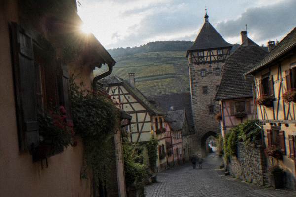 Full-Day Alsace Highlights, 8 Hours, Alsace