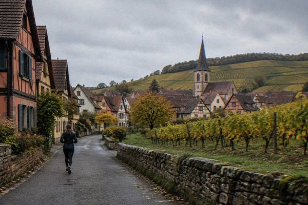 Medieval Villages, Wine Tasting, Alsace