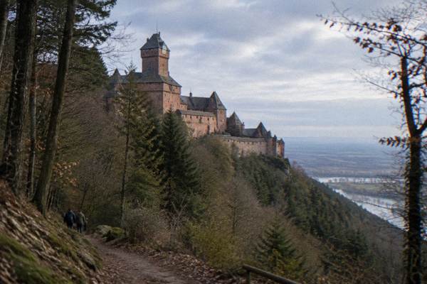 Colmar, Riquewihr, Castle, 7 Hours, Alsace