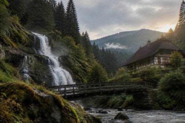 Black Forest, 8 to 9 Hours, Black Forest