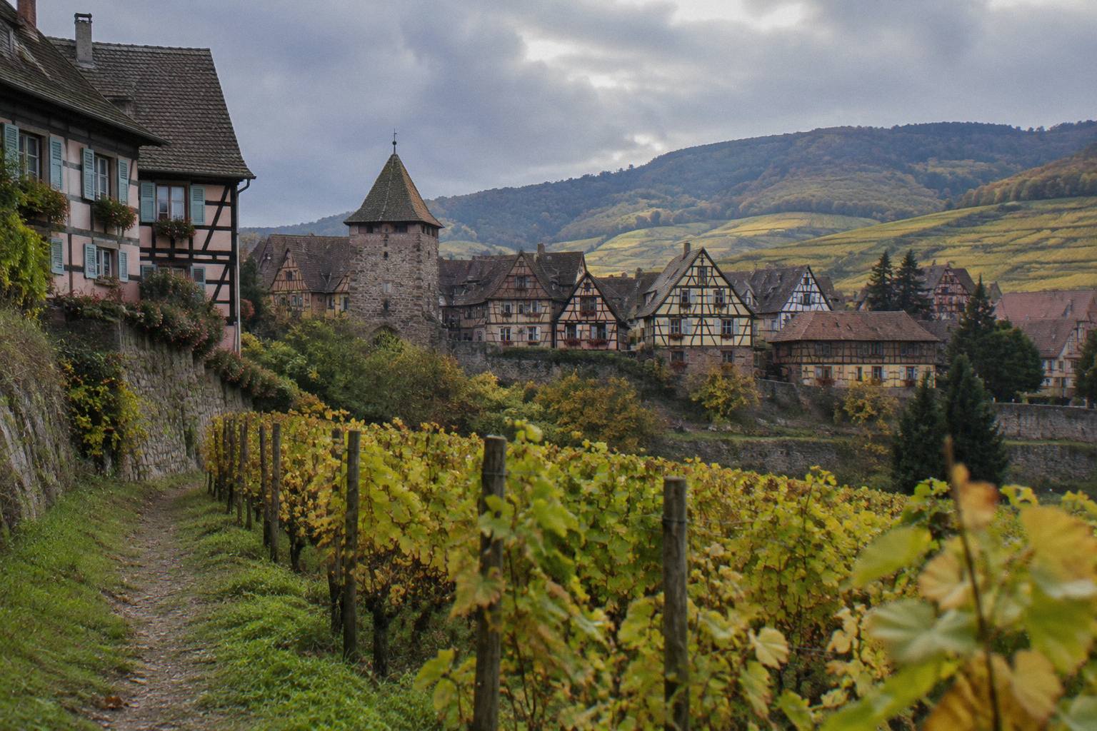 A half-timbered wine village among vineyards in Alsace