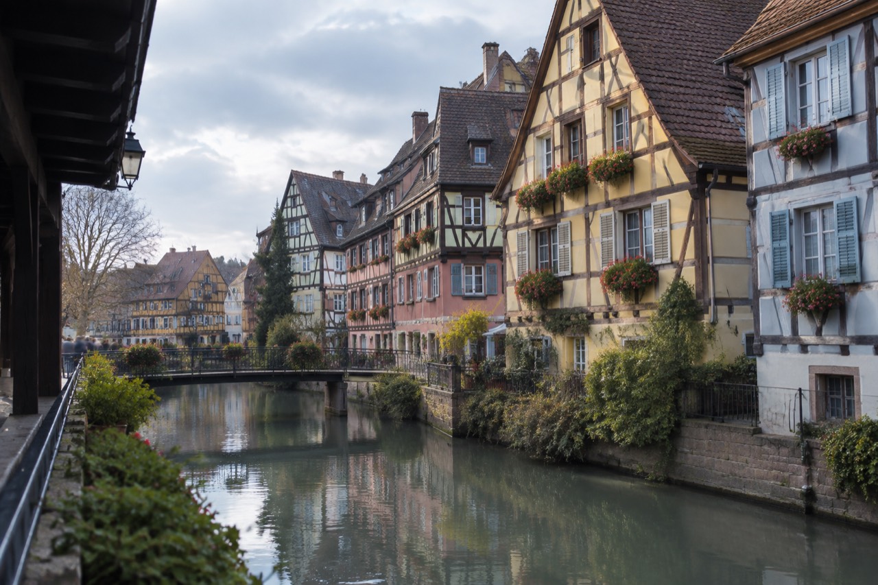 Half-timbered houses along a canal in Colmar's old town on a bright day
