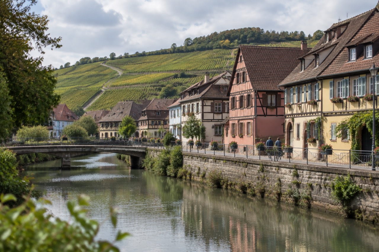 Vineyard covered hills above an Alsatian wine village with a narrow road winding between rows of vines