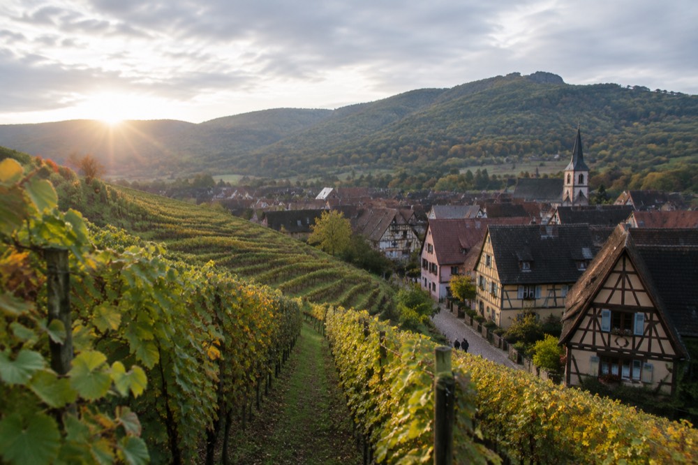 Colourful half-timbered houses lining a cobbled street in a traditional Alsatian wine village