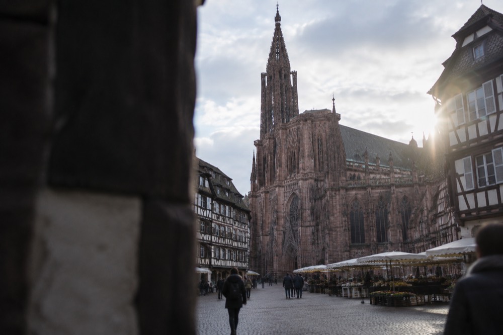 Freiburg's Münsterplatz with the red-sandstone Minster and market stalls