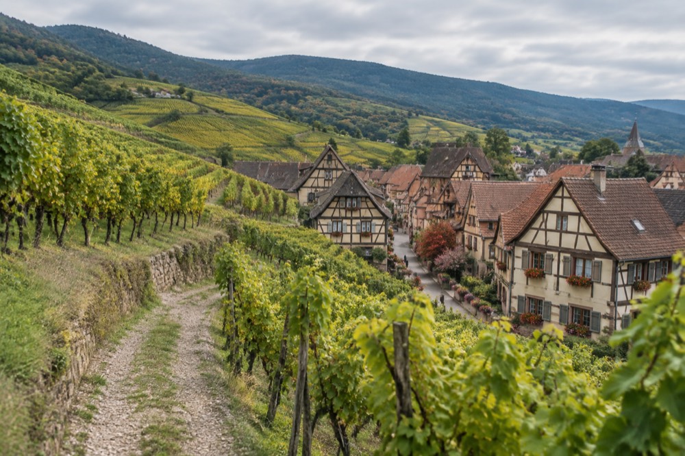 Half-timbered Alsatian wine village houses with flower-lined street beneath hillsides of vineyards
