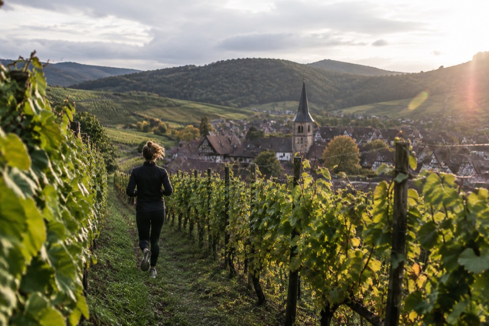 Vineyard rows on an Alsatian hillside sloping down toward a small wine village with a church spire