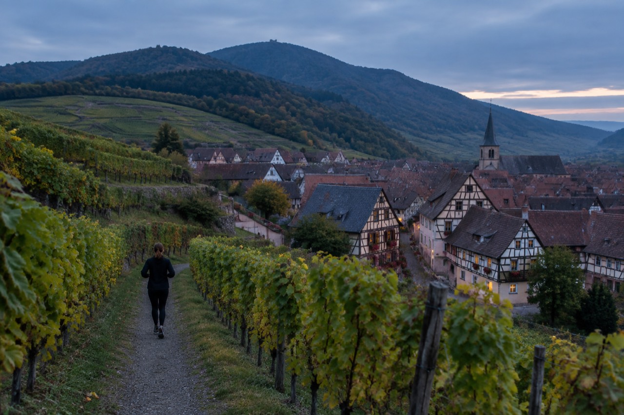 Half-timbered Alsatian wine village houses with flower-lined street beneath hillsides of vineyards