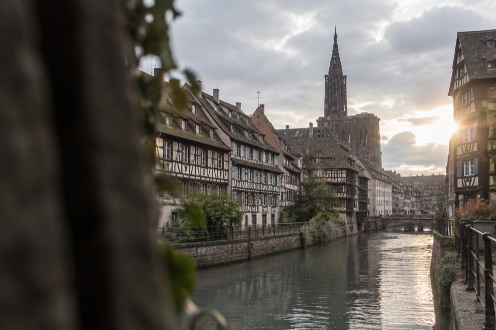 Half-timbered houses along a canal in Strasbourg with the cathedral spire rising behind the rooftops