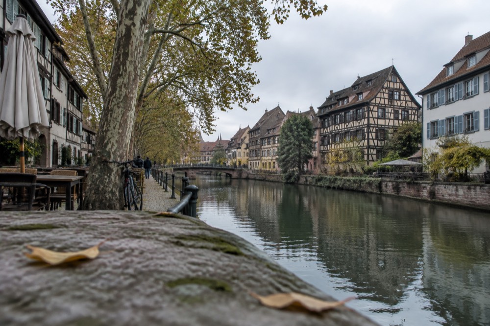 Half-timbered houses and plane trees along the River Ill in the Krutenau quarter of Strasbourg