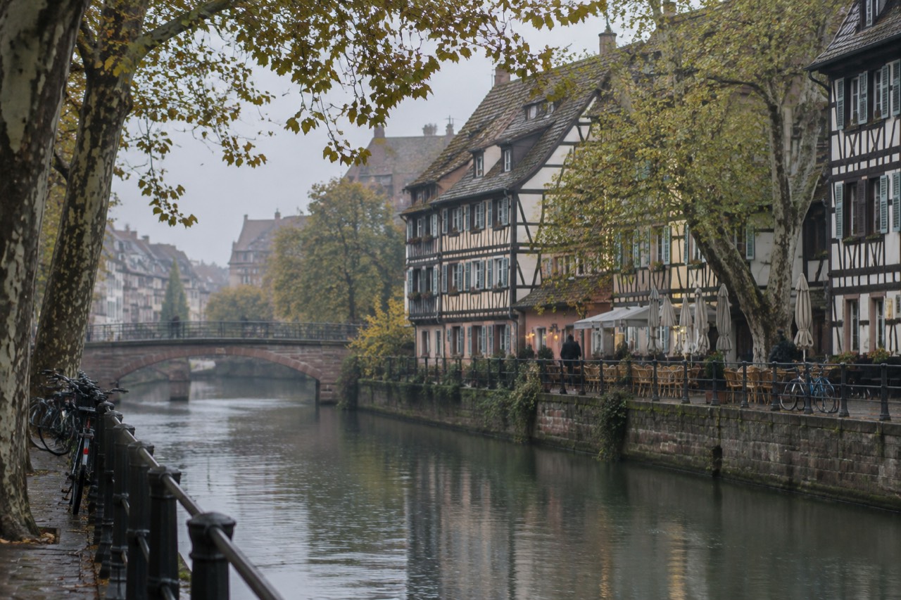Half-timbered houses and plane trees along the River Ill in the Krutenau quarter of Strasbourg