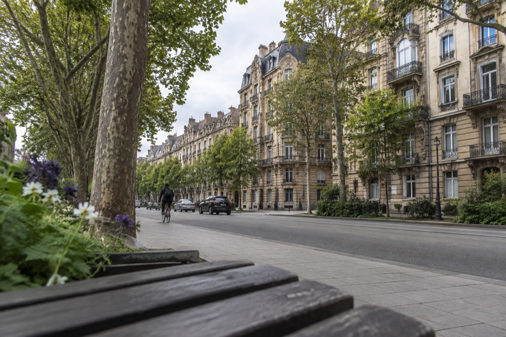 Tree-lined boulevard in the Neustadt with grand stone apartment facades