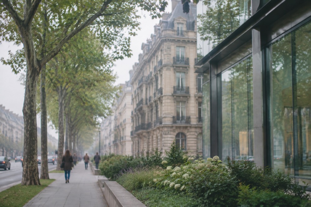 Glass-fronted European institution building along a landscaped avenue