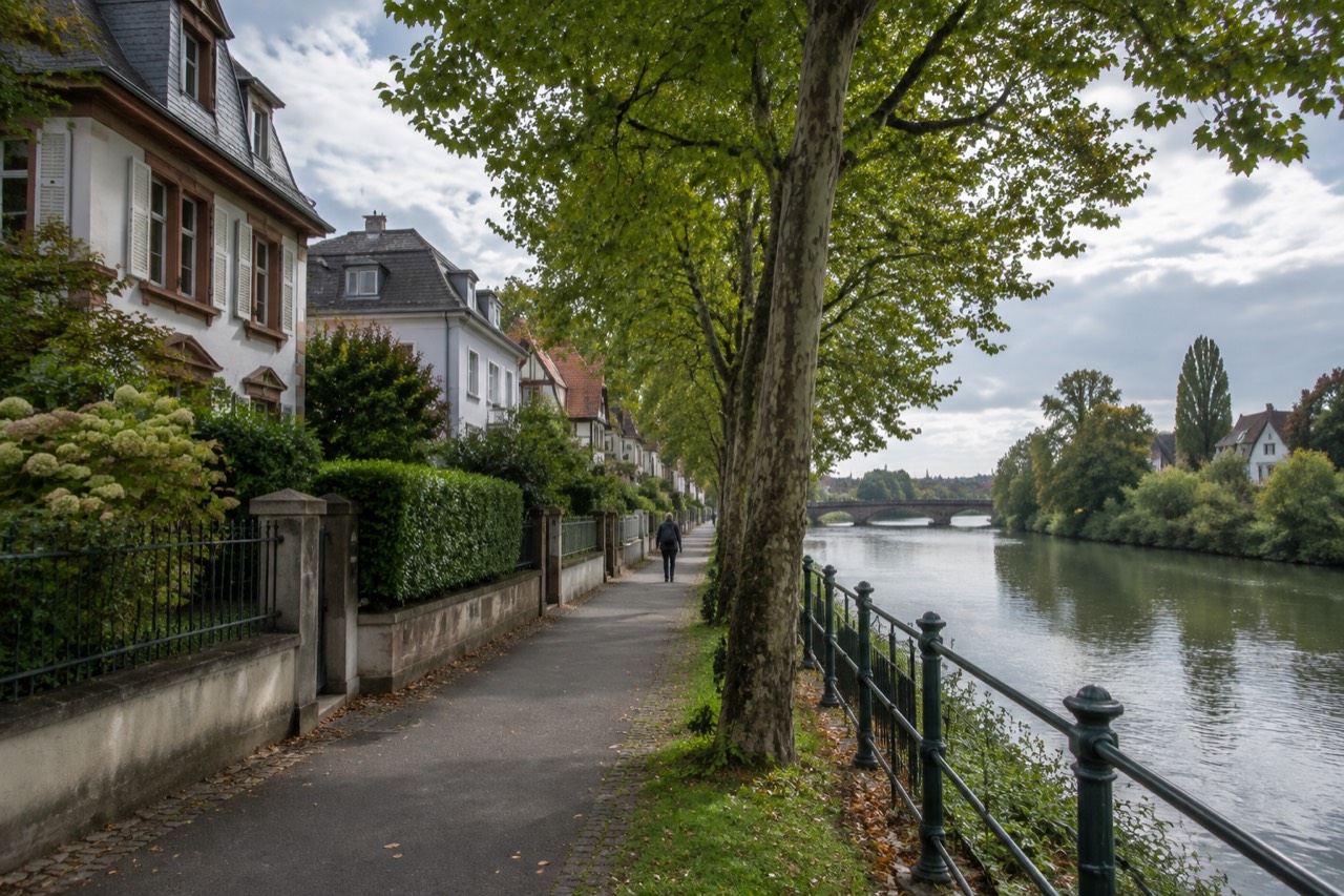 Tree-lined street of comfortable residences beside the River Ill in the Robertsau quarter of Strasbourg