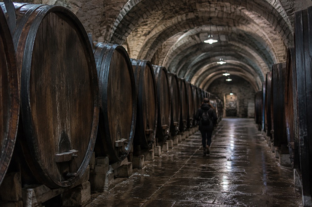 Long vaulted cellar corridor lined with oak wine barrels