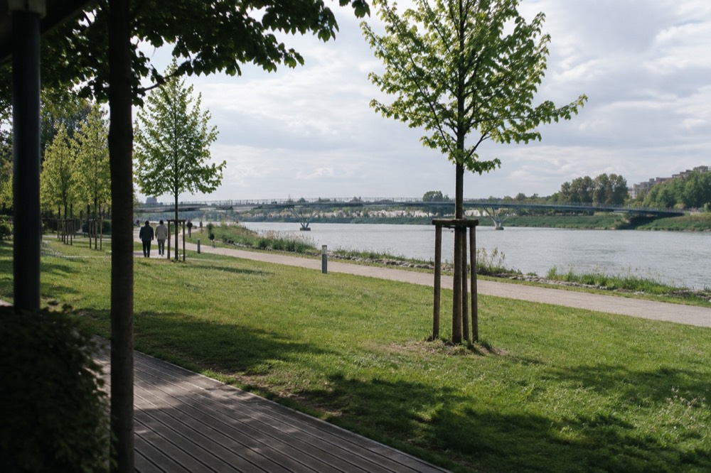 Lawns and tree-lined paths along the Rhine bank in the Jardin des Deux Rives