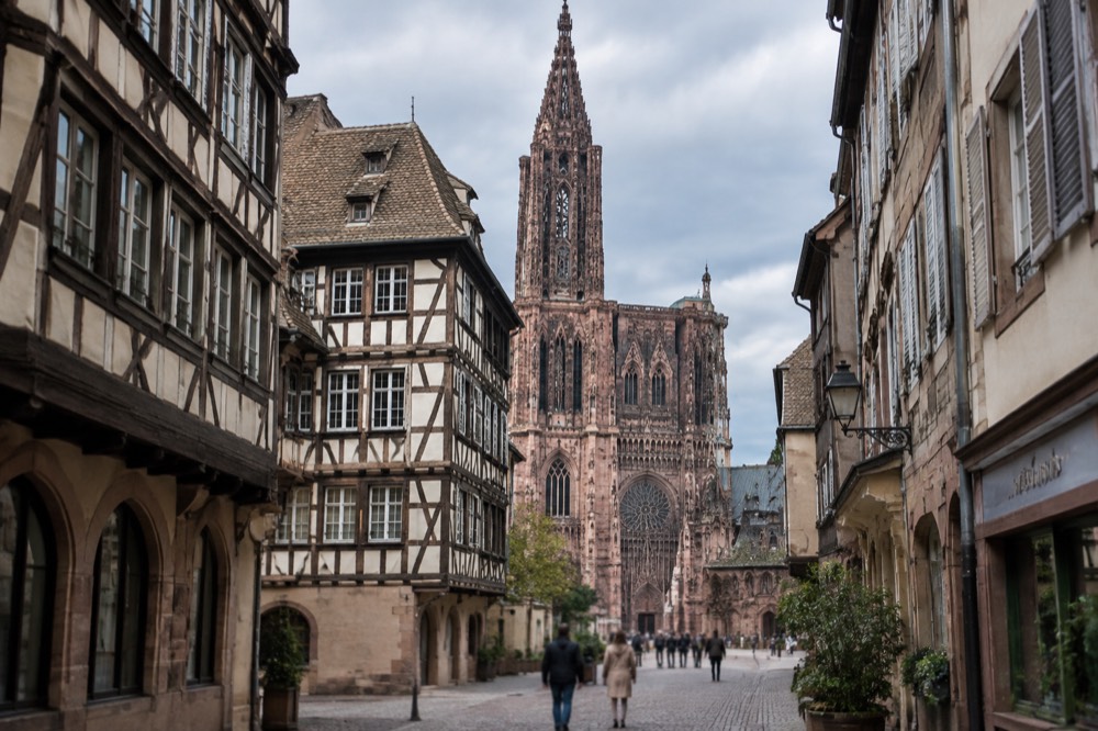A tram stop sign beside a tree-lined avenue in Strasbourg