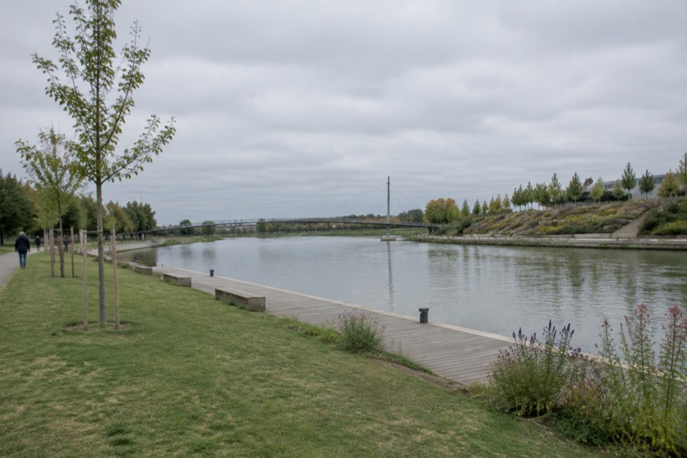 Planted terraces and flower beds on the German bank of the Rhine