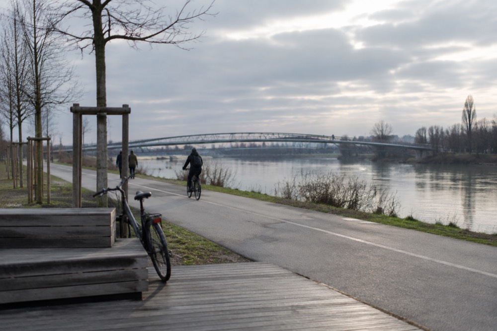 A cycle path running beside the Rhine through open parkland