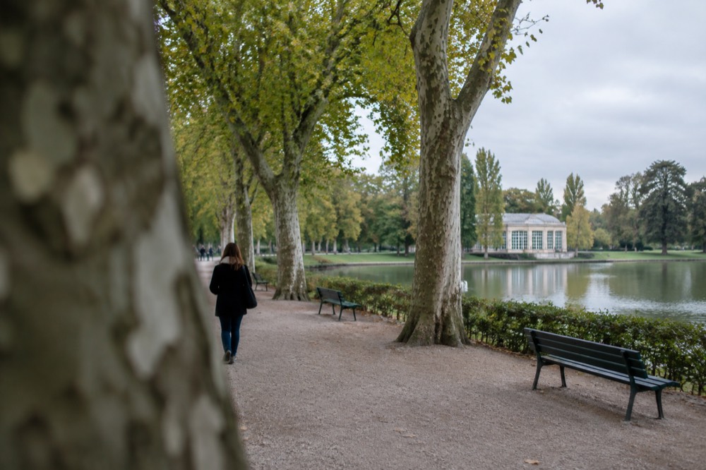 Tree-lined gravel path through a city park with benches alongside
