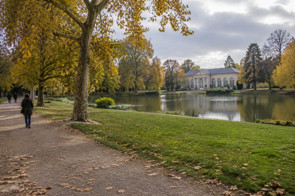 Autumn trees with golden leaves beside an empty park lawn