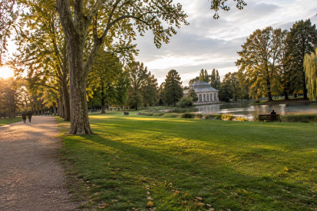 Wide view over open lawns and mature trees in a large city park