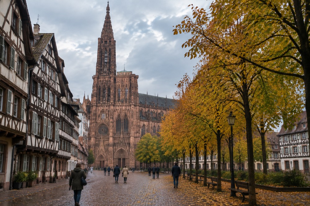 Autumn colours along a straight tree-lined avenue in a Strasbourg park