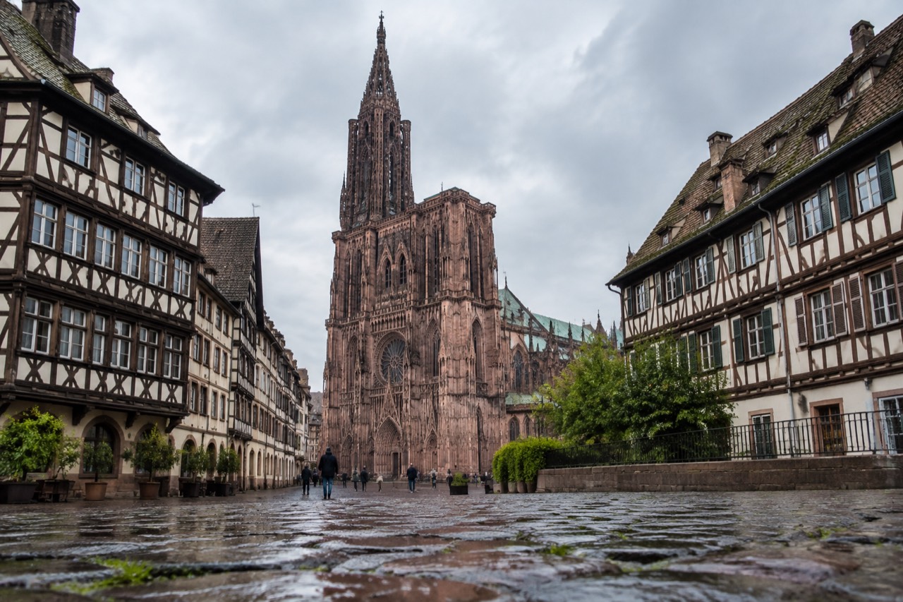 Wide tree-lined lawns of a large city park in Strasbourg on a bright day