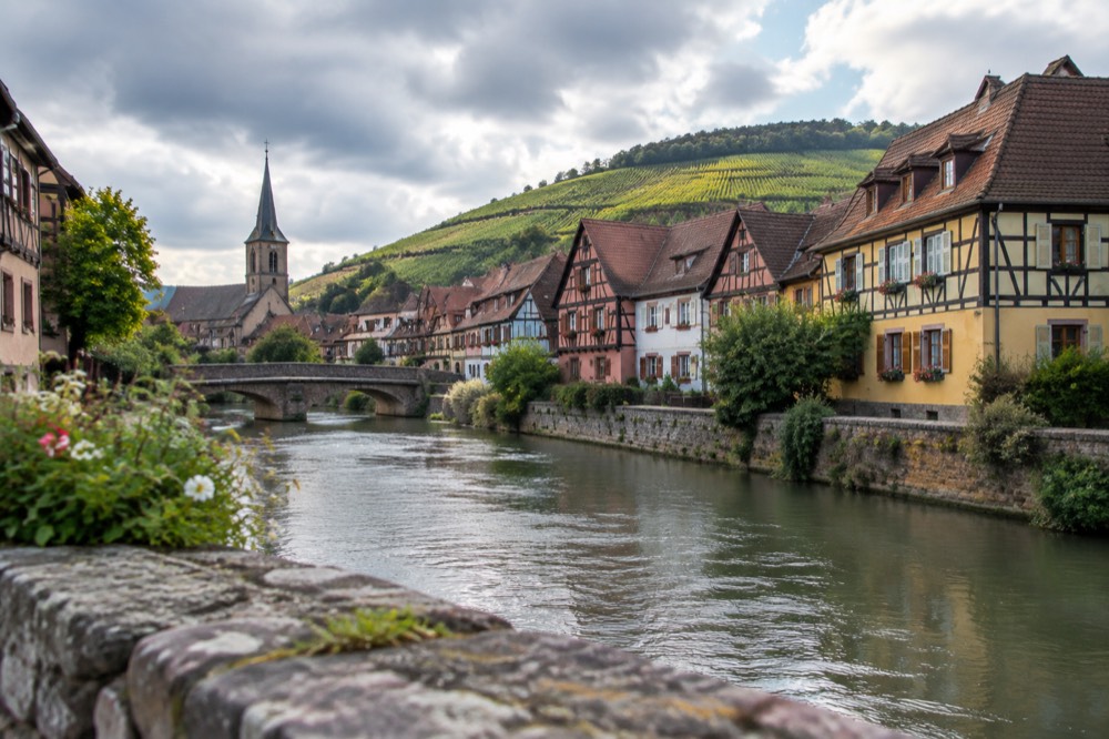 Vineyard covered slopes above an Alsatian village with half-timbered houses