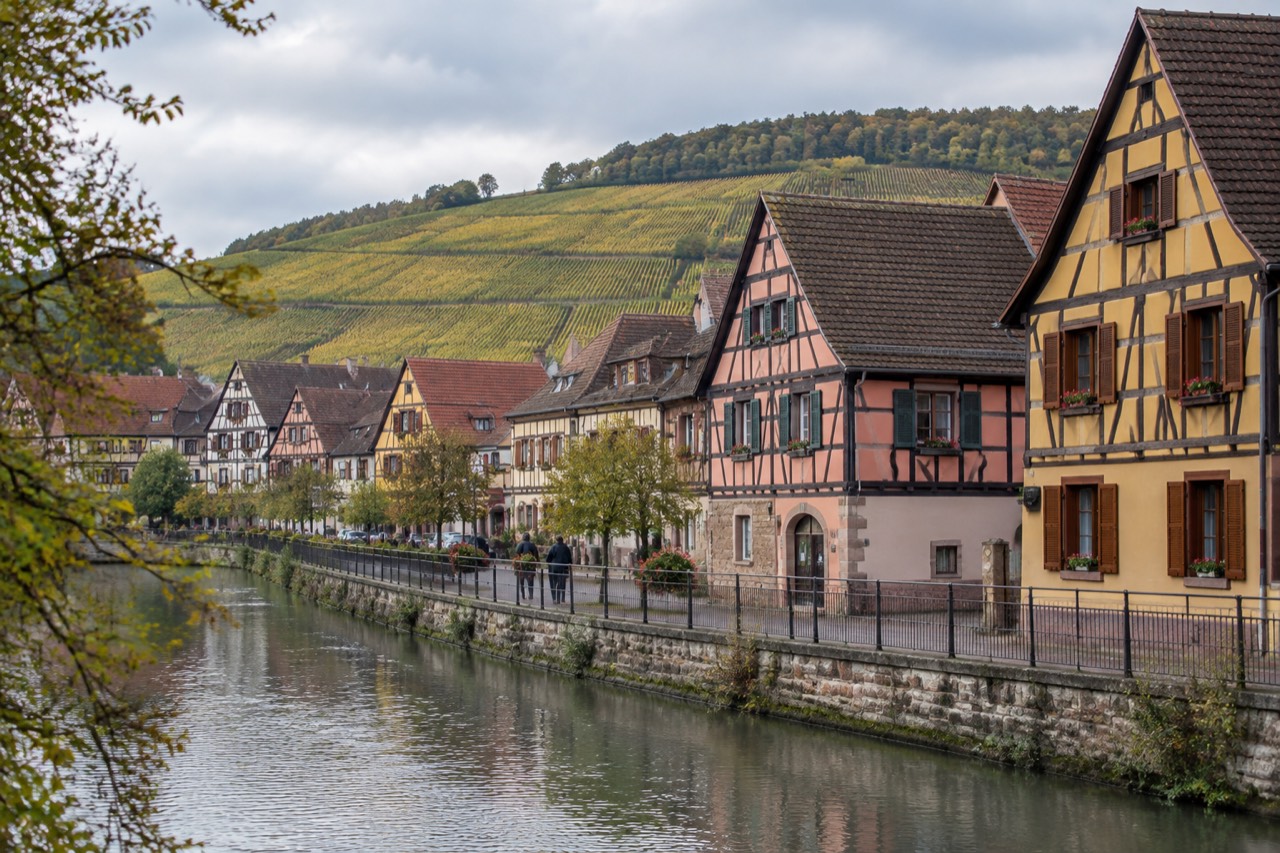 Vineyard covered slopes above an Alsatian village with half-timbered houses