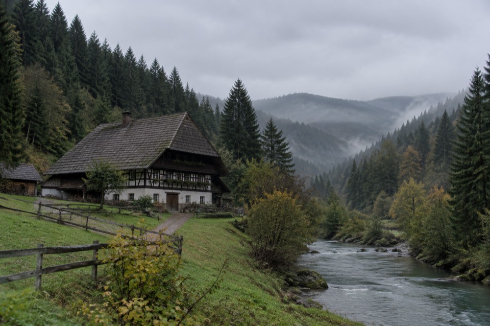 Dense fir forest hills rising above a misty valley in the Black Forest