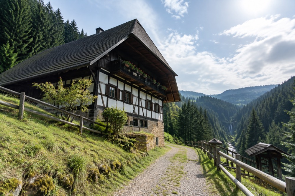 Half-timbered farmhouse with a steep roof beside a forest track