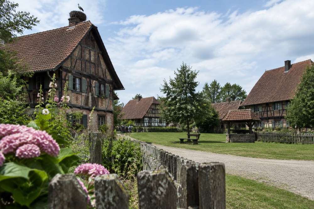 Half-timbered Alsatian farmhouses with steep roofs around a green at an open-air museum
