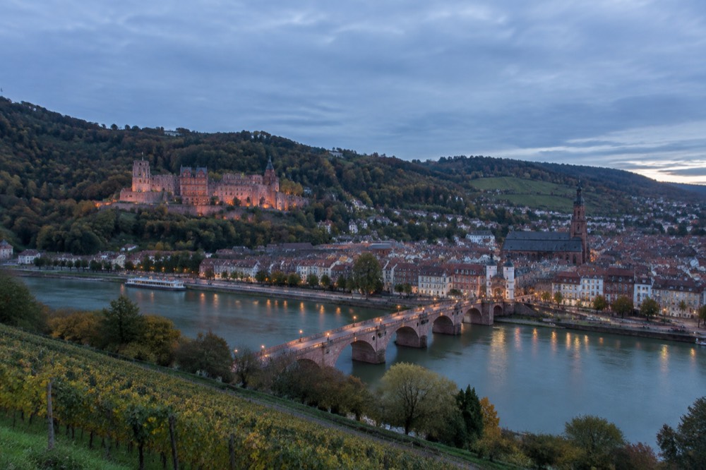 Vineyard-covered hillside above a river with a town in the valley