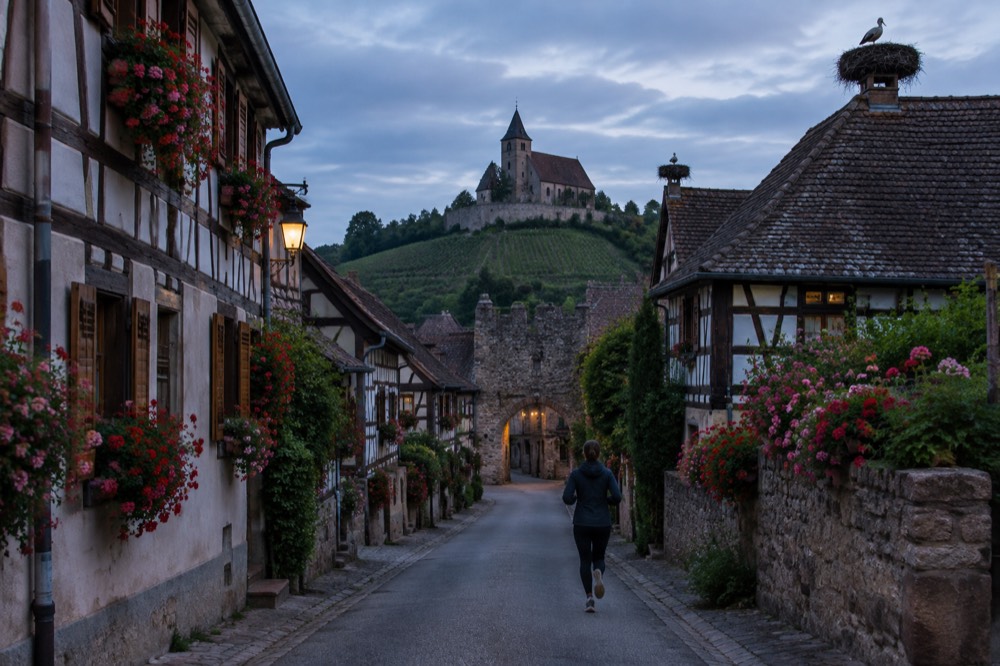 A narrow village street with geranium-covered half-timbered facades and a stone gateway