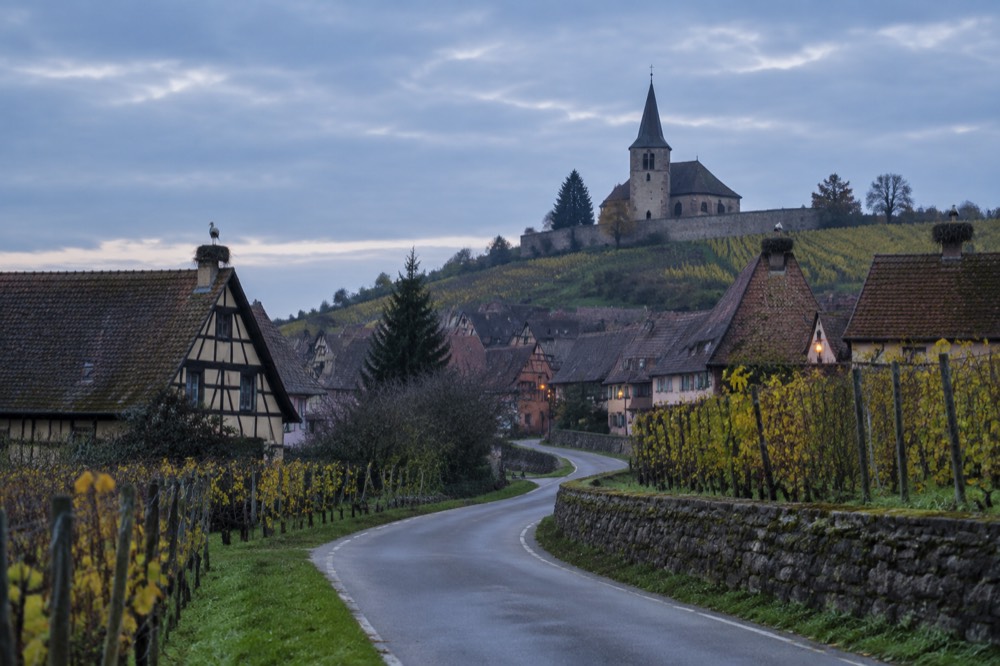 A country road winding between vineyards toward a hillside village