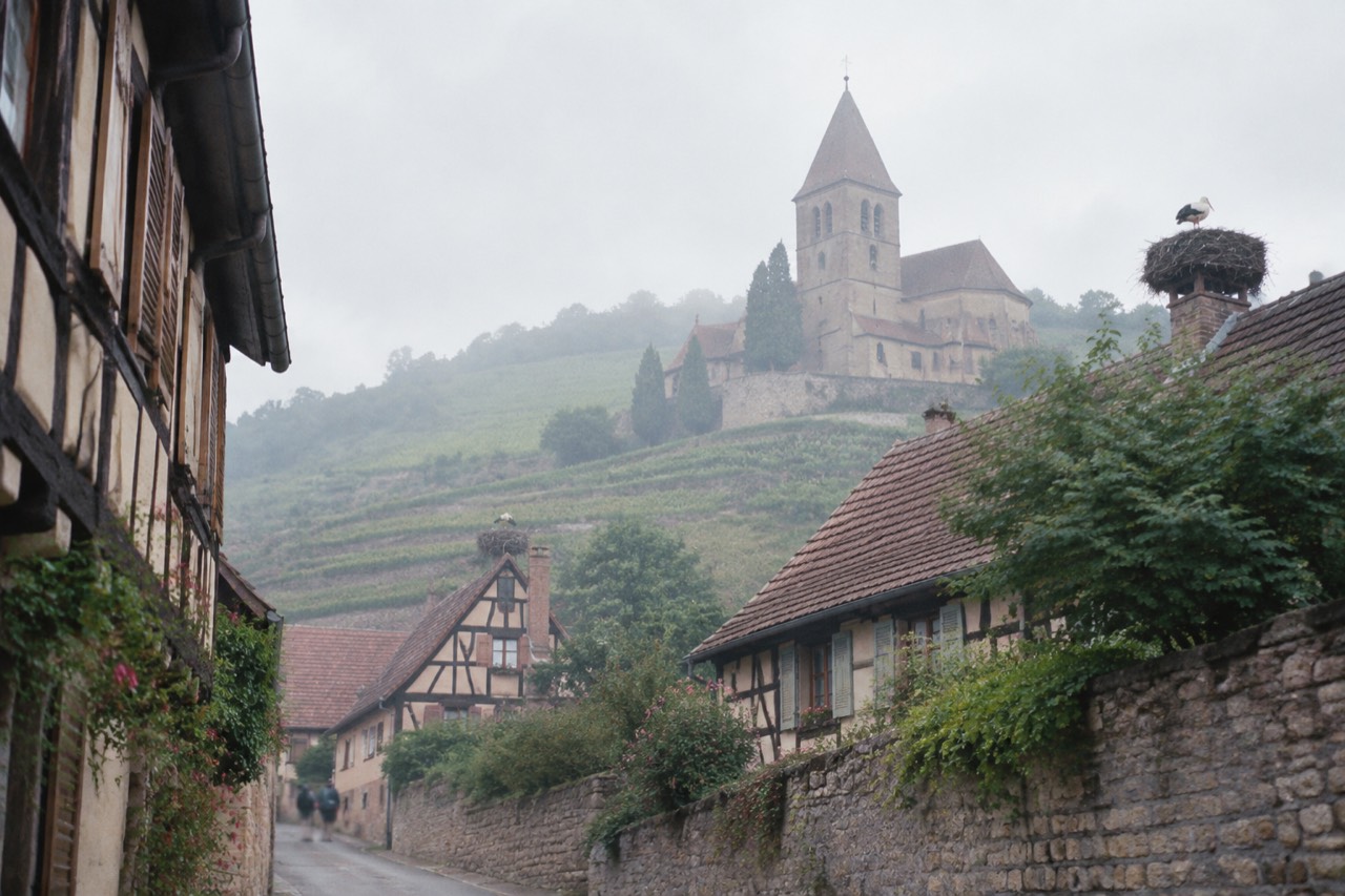 Vineyard slopes rising behind a small Alsatian village with half-timbered houses
