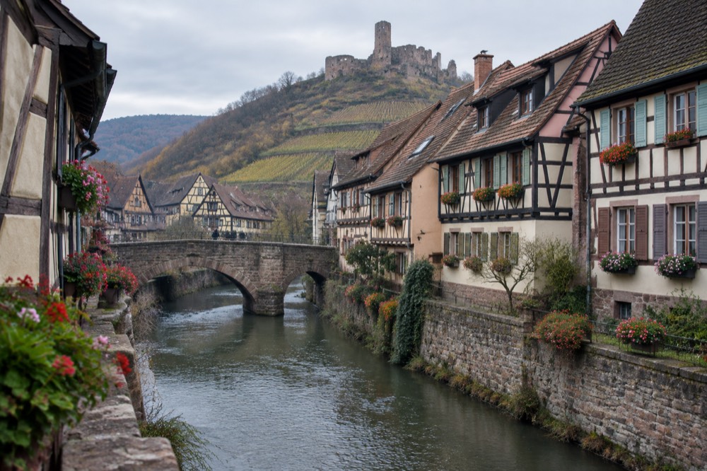 Half-timbered Alsatian houses with flower boxes beside a stream in a wine village street
