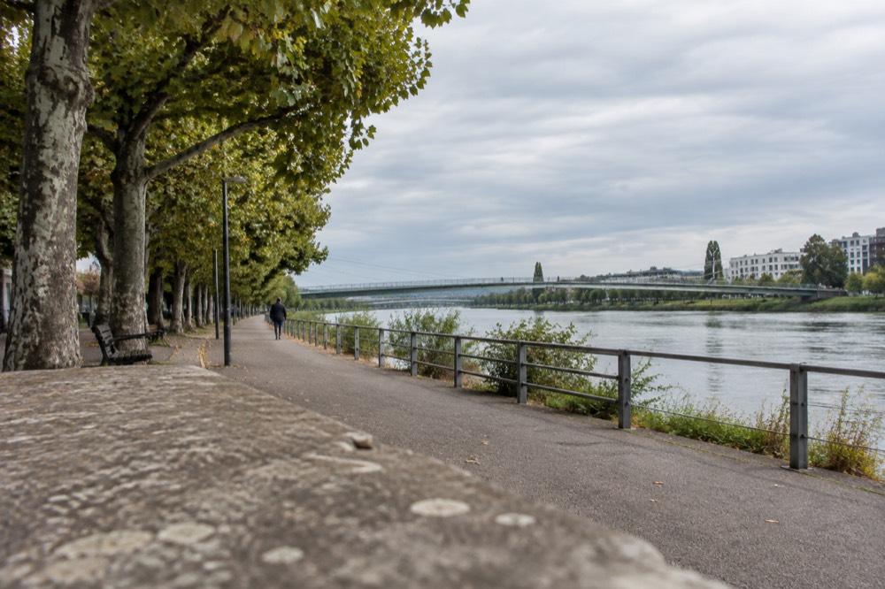 Tree-lined river path in warm afternoon light with the water alongside