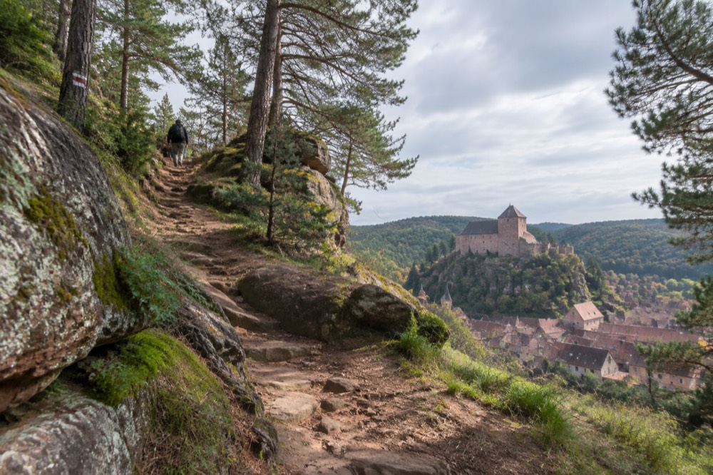 Marked forest trail climbing between sandstone rocks and pine woods above the village