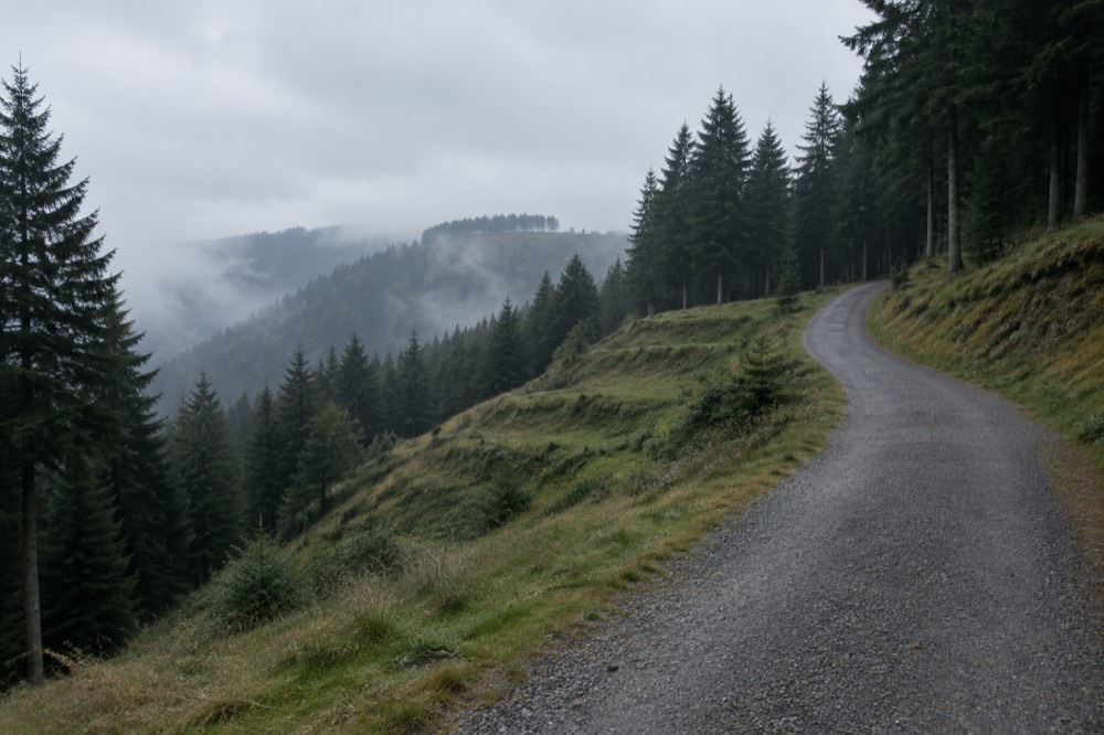 A quiet mountain road climbing through pine forest toward a hilltop clearing