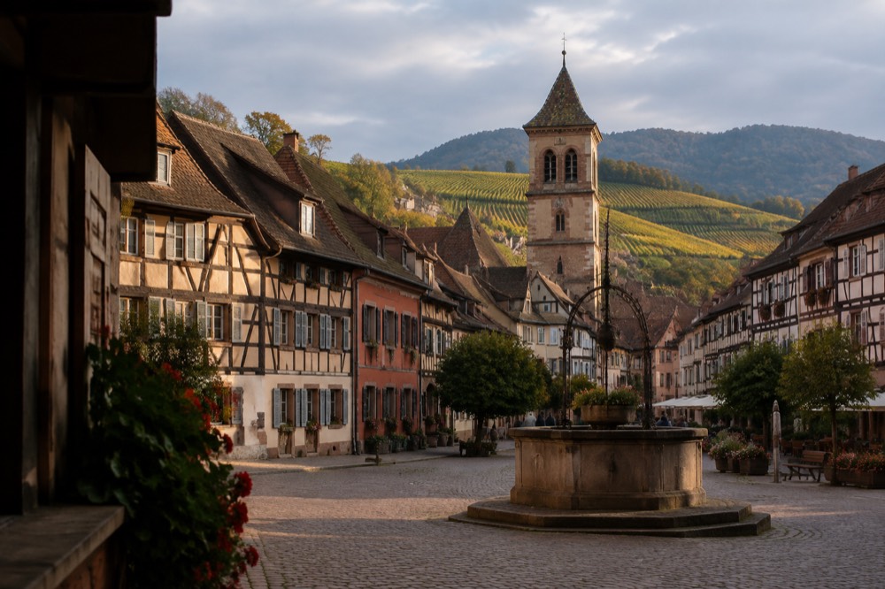 Vineyard rows on a hillside above a small town with the Vosges mountains behind