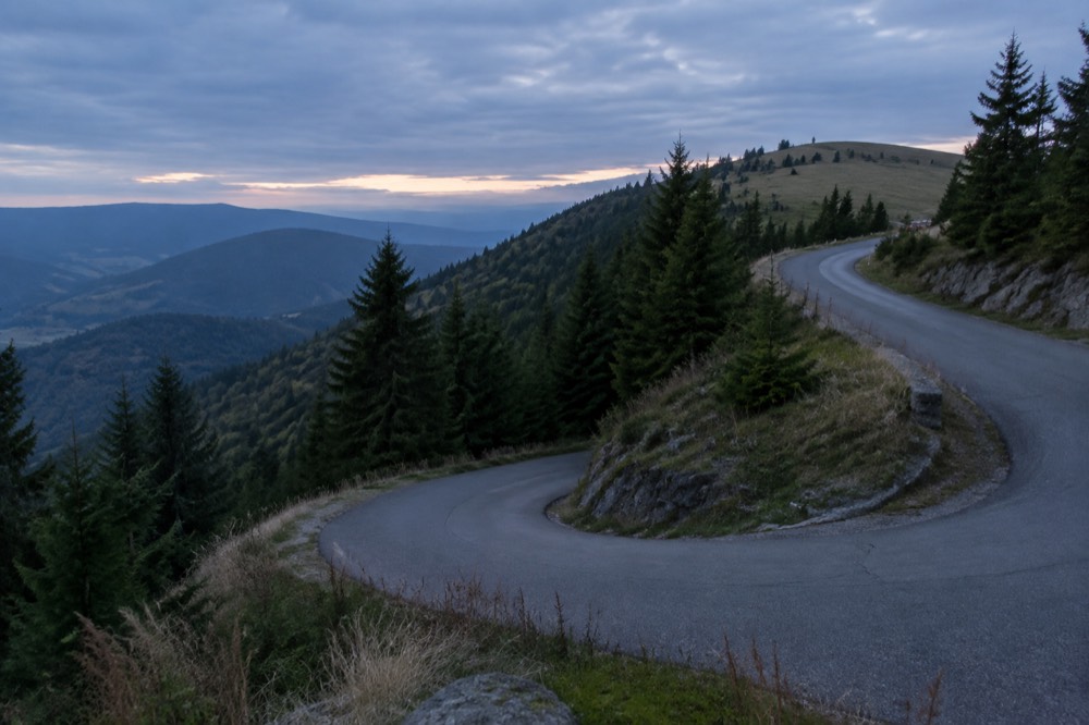 A mountain road hairpin climbing through fir trees toward open grassland