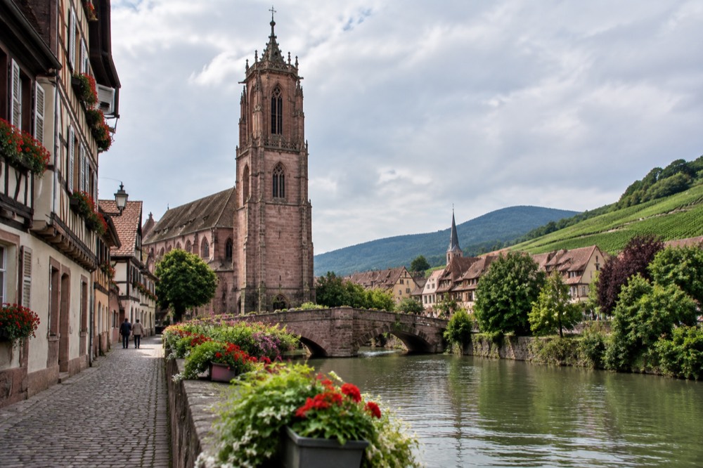 Rows of green vines on a sunny slope near Sélestat, with the Vosges hills in the background and a village spire in the middle distance
