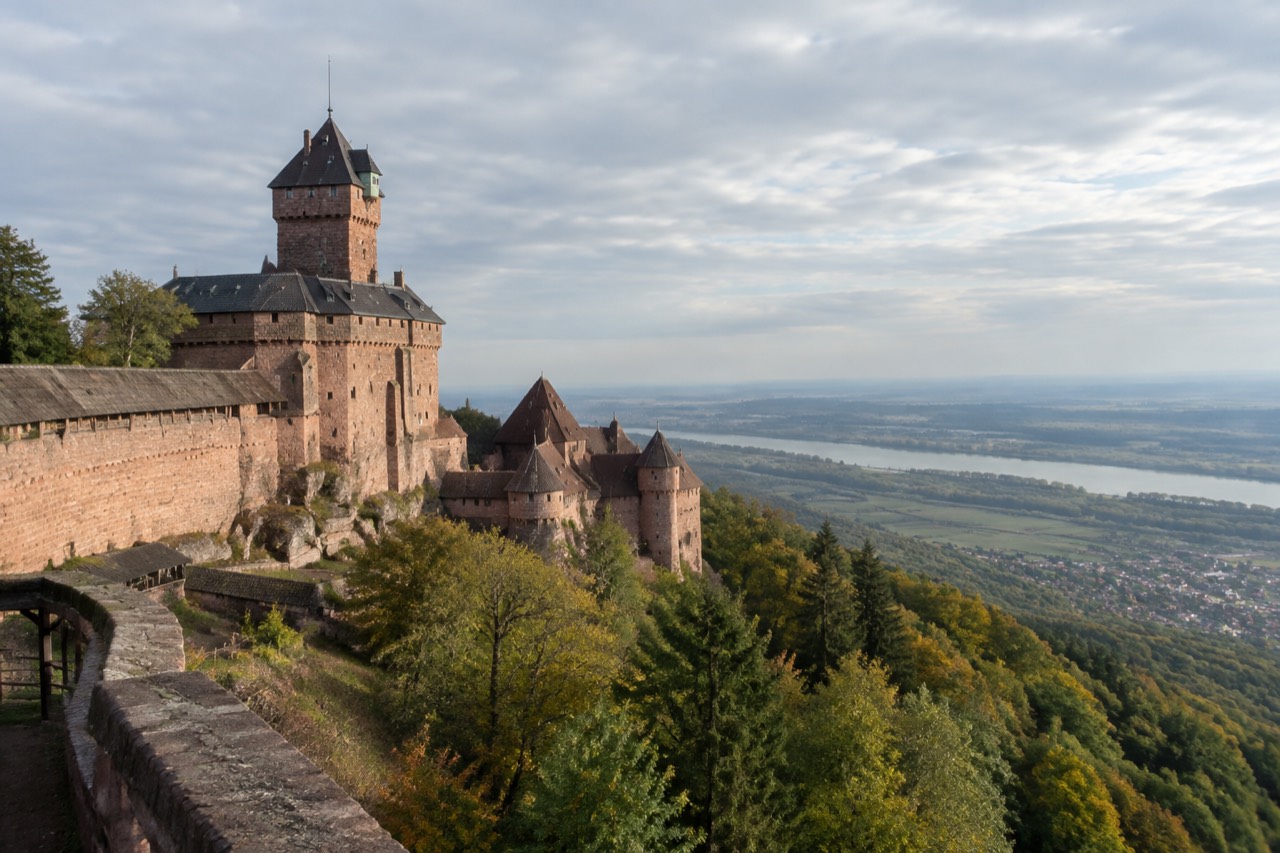 A restored medieval castle standing on a forested sandstone ridge in Alsace