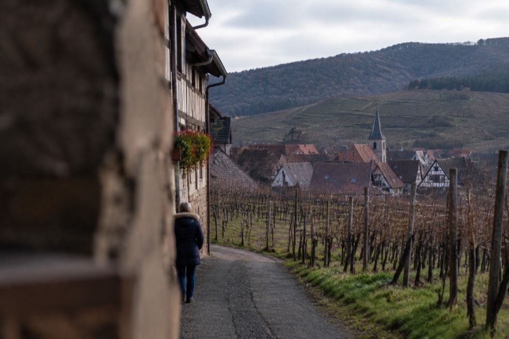 A narrow street of half-timbered houses with window boxes in an Alsatian village