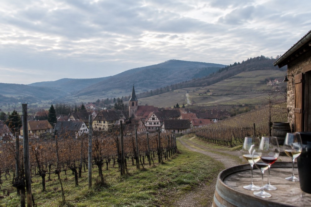 Wine glasses on a tasting counter in an Alsatian cellar