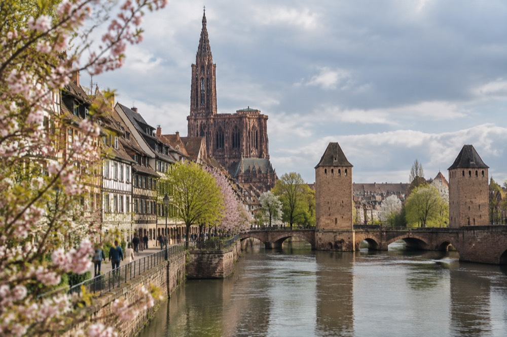 Spring blossom along a Strasbourg canal with the Ponts Couverts in the background